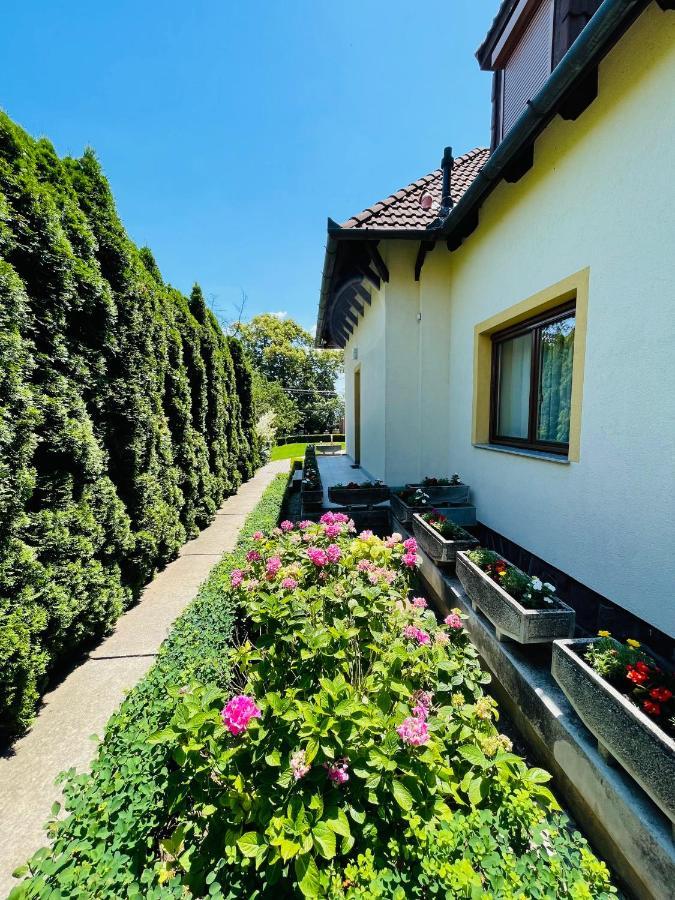 Mikes Deluxe Home Balatonfured Bagian luar foto